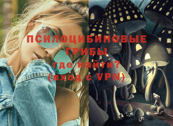 МДПВ Алексин