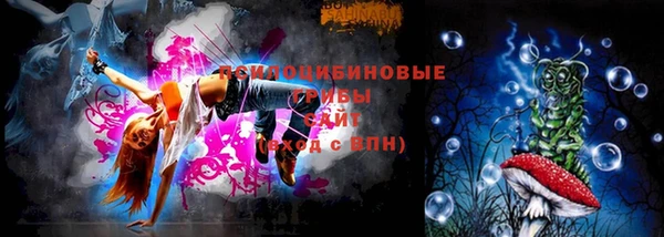 МДПВ Алексин