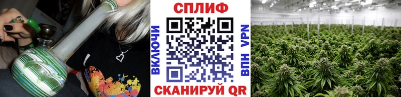Бошки марихуана тримм  Большой Камень 